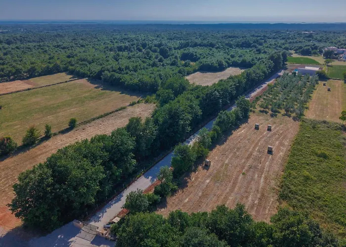 E&m Forest Retreat *